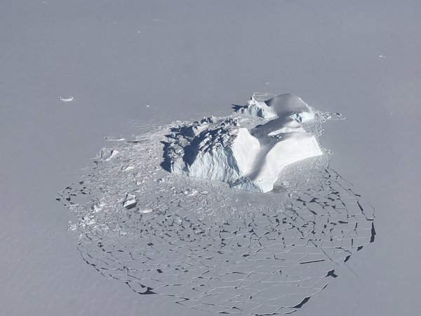 Iceberg in Arctic ice floes