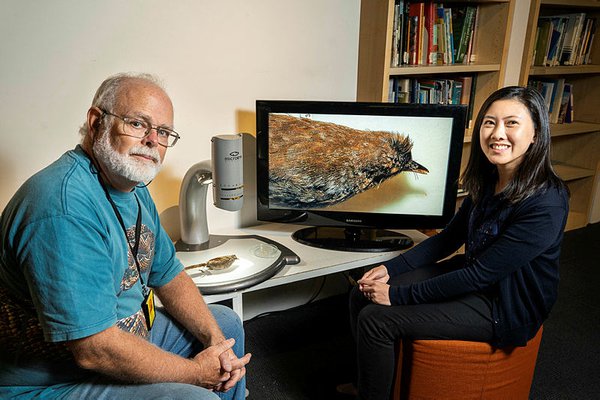 Dr Walter Boles and Dr Jacqueline Nguyen with an Eastern Bristlebird specimen