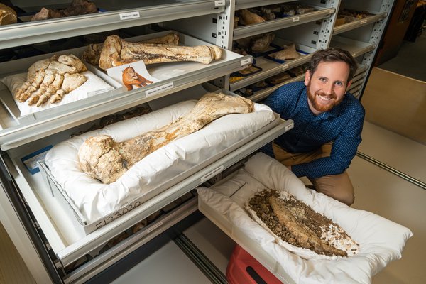 Matthew McCurry and baby Diprotodon jaw