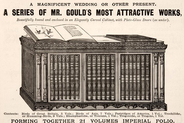Set of Gould folios
