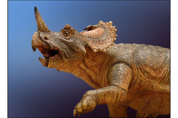 Dinosaur Model